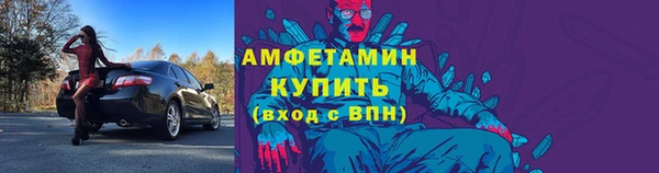 индика Вязники