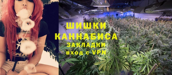 дурь Волосово