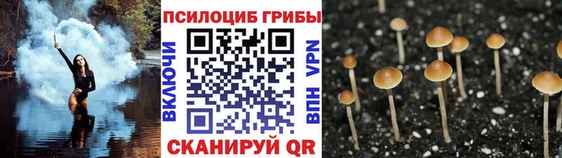 Псилоцибиновые грибы GOLDEN TEACHER  Джанкой 