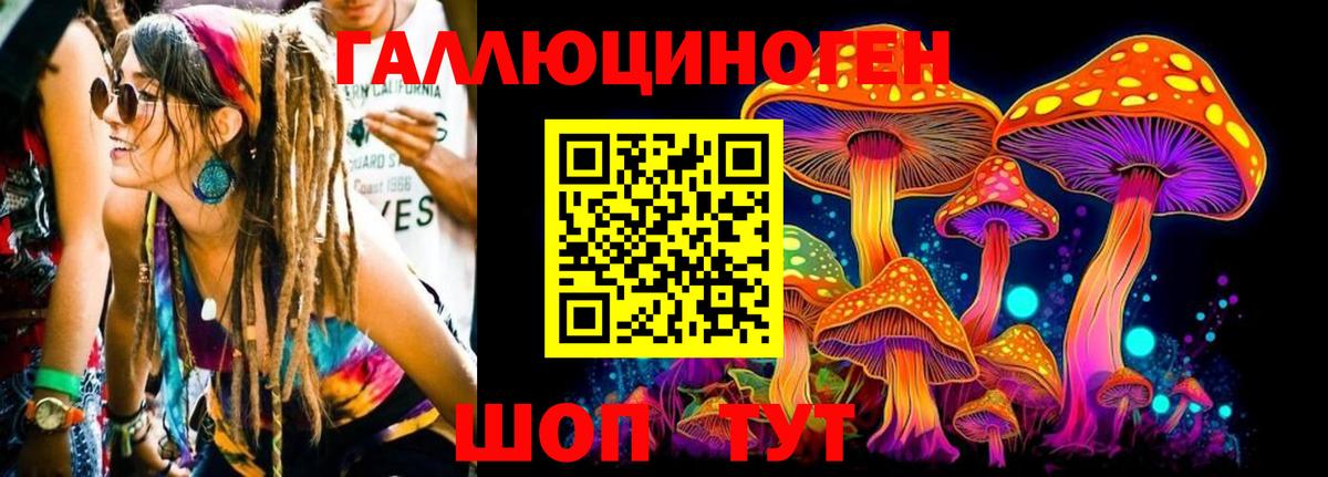 Галлюциногенные грибы MAGIC MUSHROOMS  Псилоцибиновые грибы GOLDEN TEACHER  Джанкой 