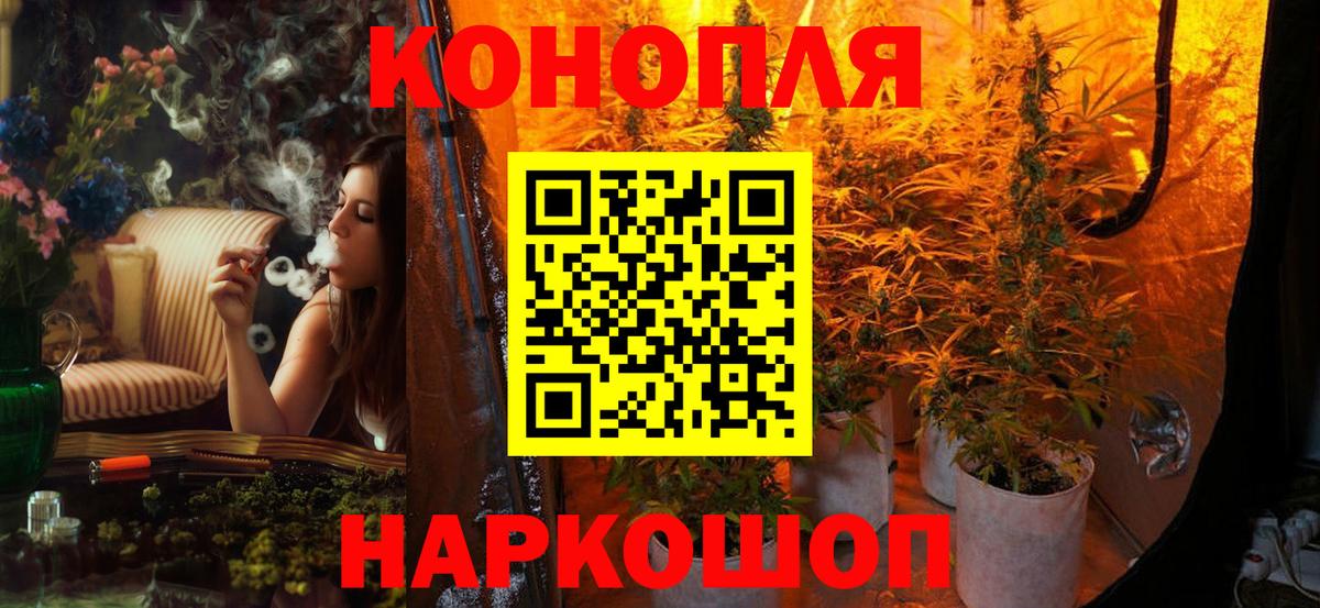 Конопля план  Бошки марихуана индика  Джанкой  Каннабис план  Конопля Ganja 